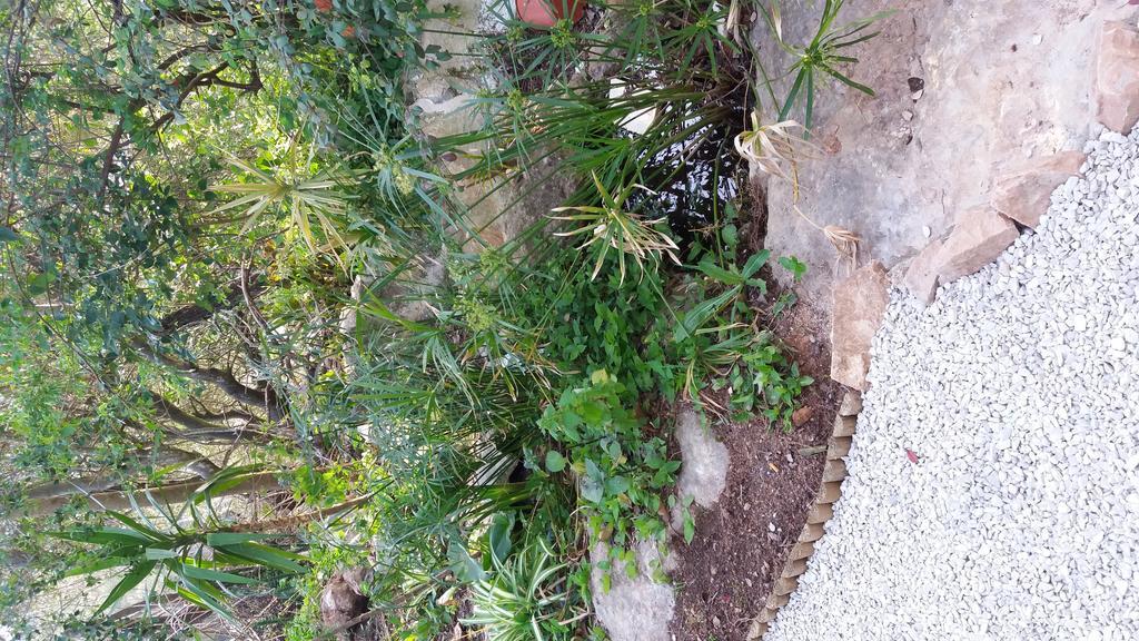Villa Quinta De Sao Filipe à Setúbal Extérieur photo